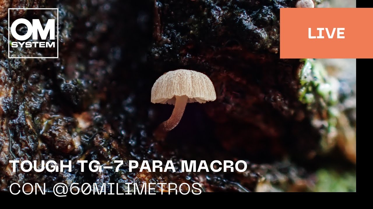 Spanish | La nueva Tough TG-7 para fotografía macro con Iván Gonzalez @60milimetros