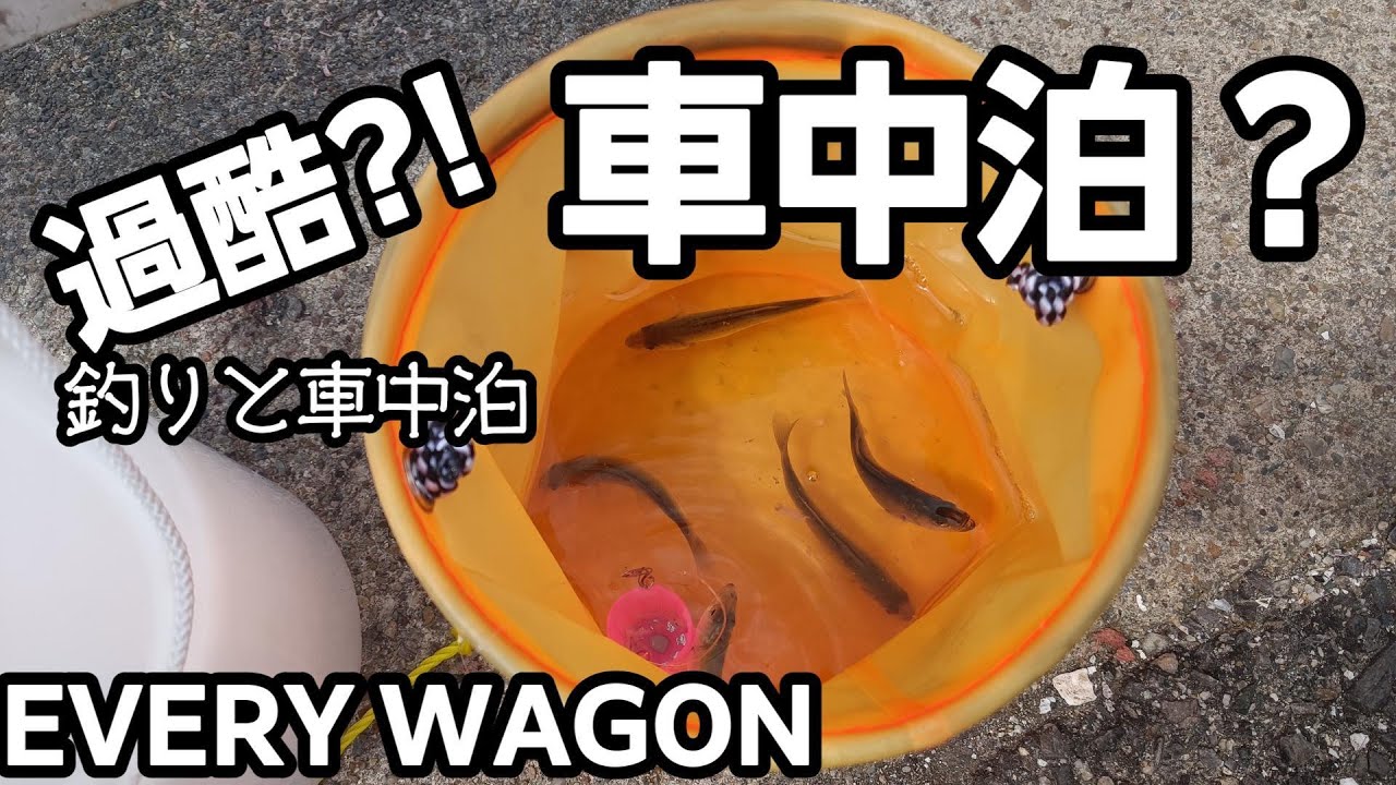 釣りと車中泊　超過酷！釣りはスポーツだ！50代女子釣りをしながら車中泊できるのかEVERY WAGON