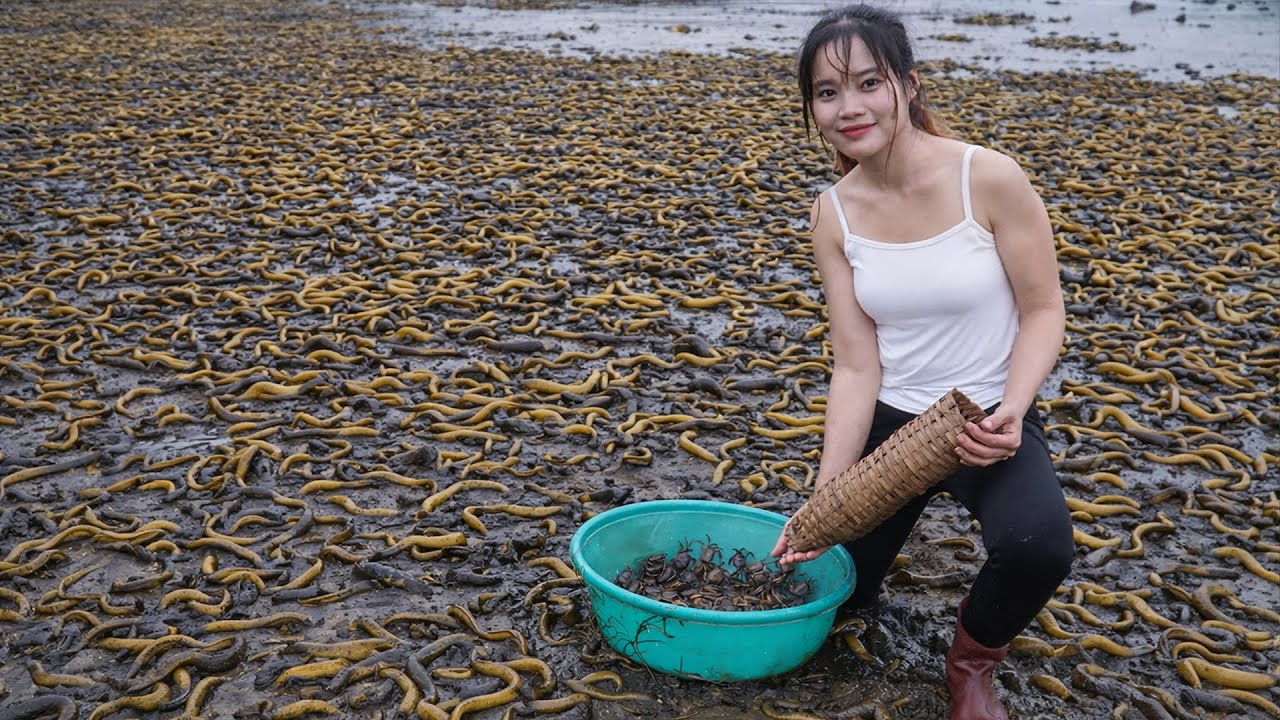 72 Hours Catching 1000+ Eels for Market – Traditional Crab Traps Harvest! | Ly Tieu Lam 🐍🦀🔥