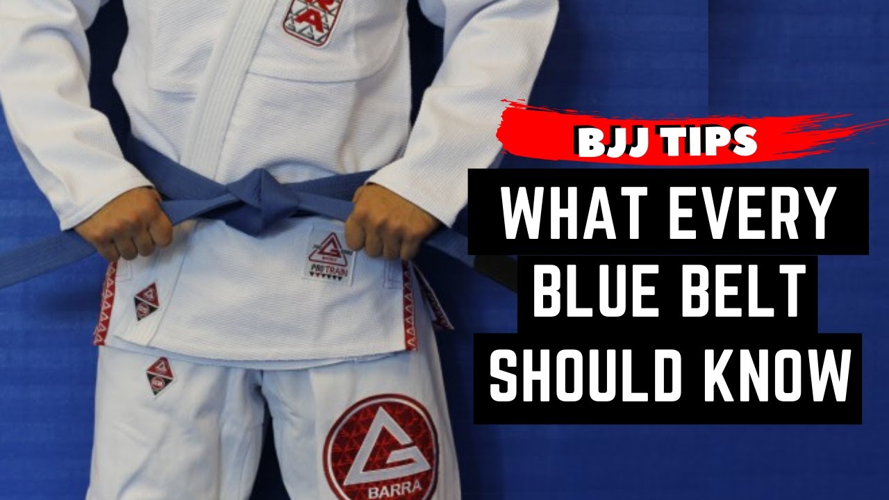 What to expect from a BLUE BELT? | BJJ Tips