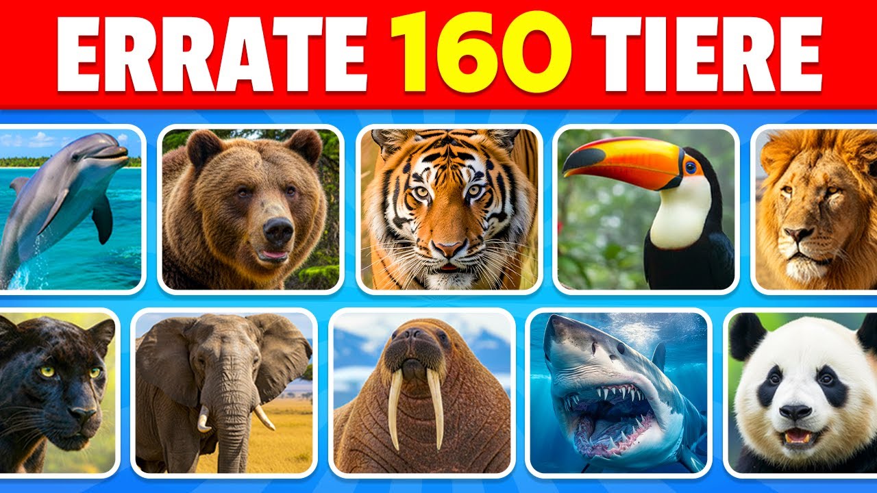 Errate 160 Tiere in 3 Sekunden 🐶🦁✅ | Einfach, Mittel, Schwer, Unmöglich