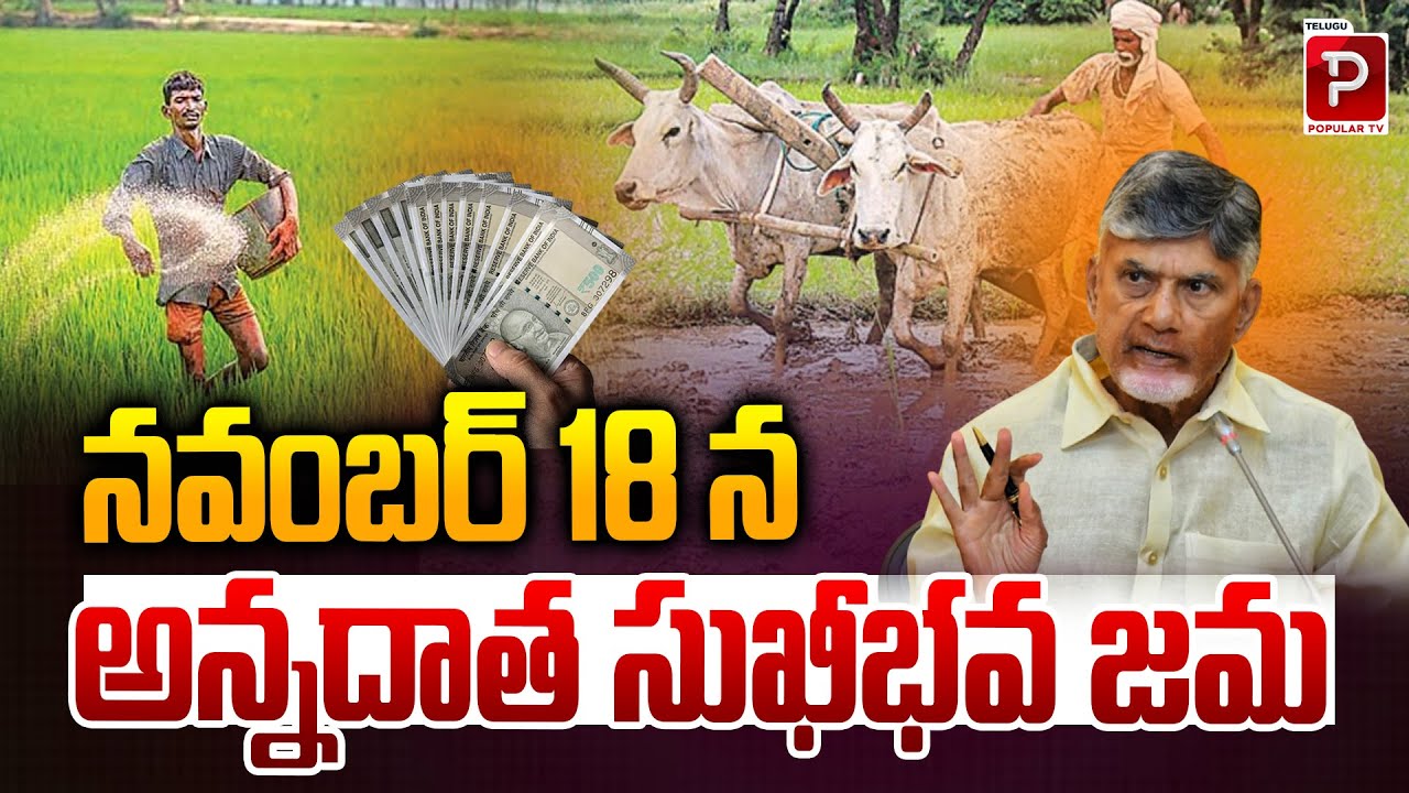 Farmers to Receive Annadata Sukhibhava Amount on November 18 | CM Chandrababu Naidu | Popular TV