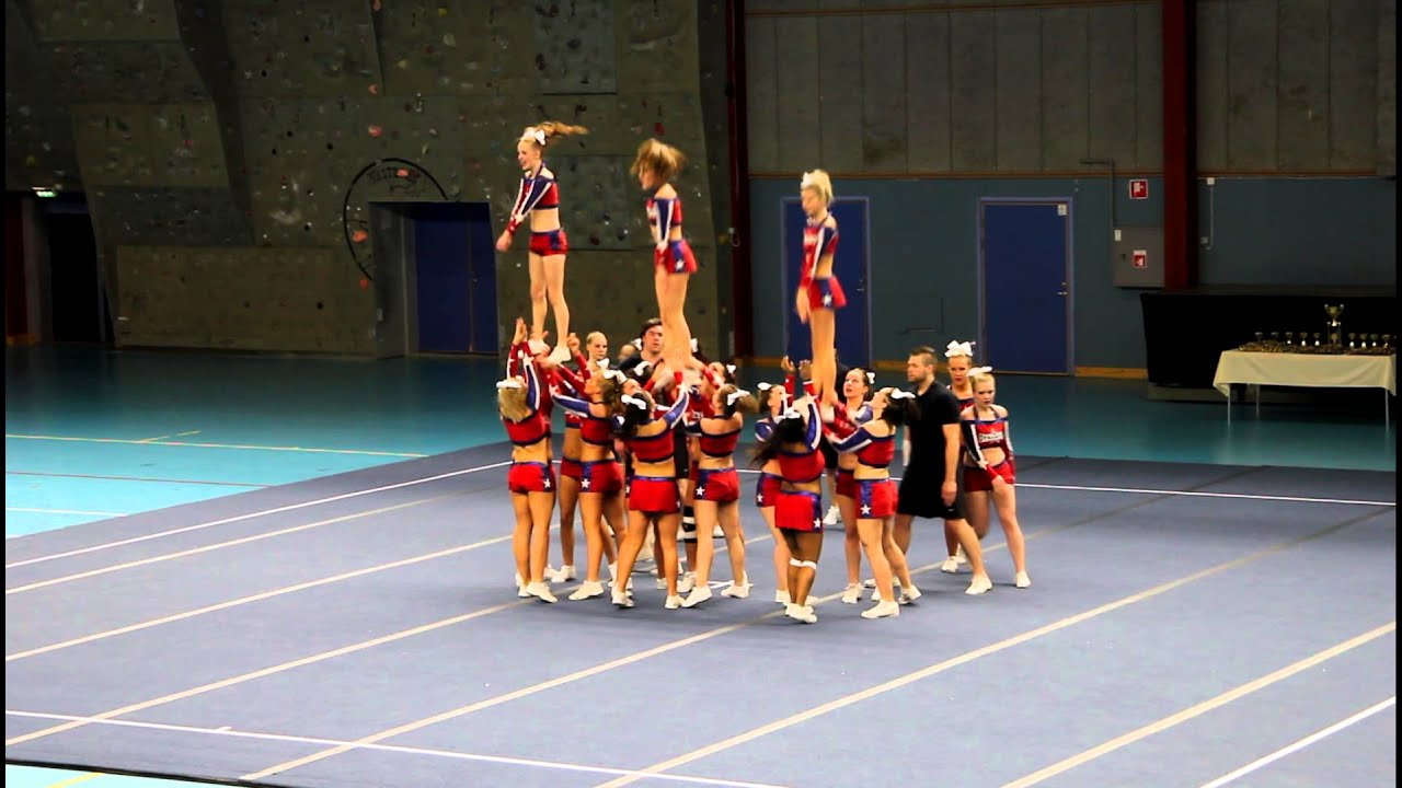 Dynamite Dolphins DM 2012