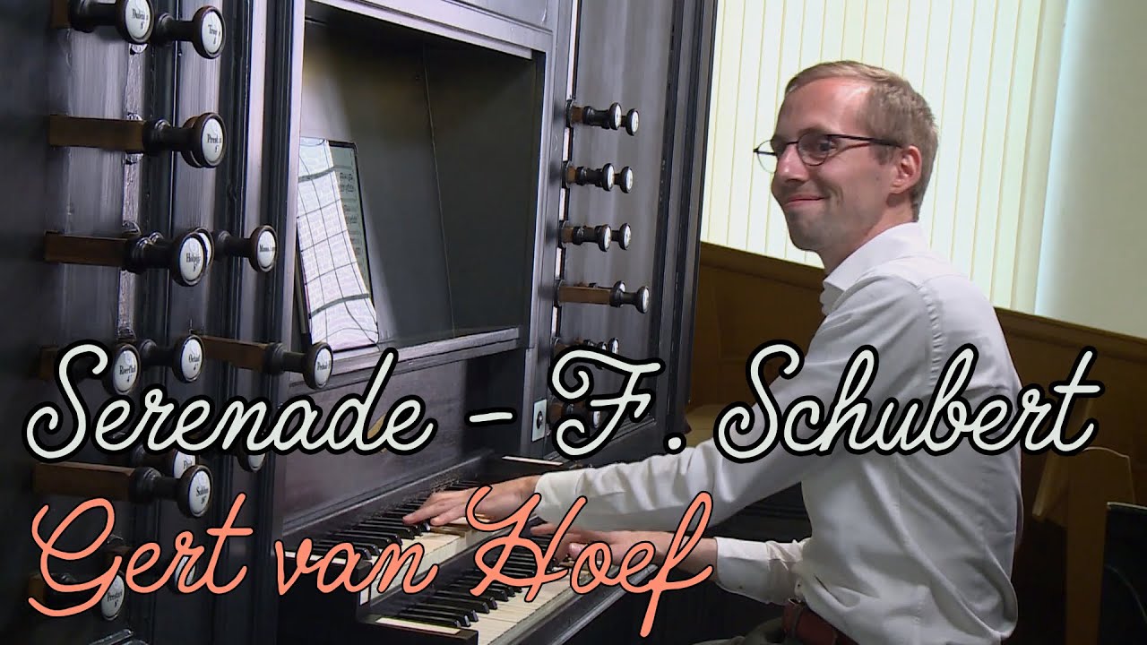 Serenade (Ständchen) by F. Schubert - Gert van Hoef