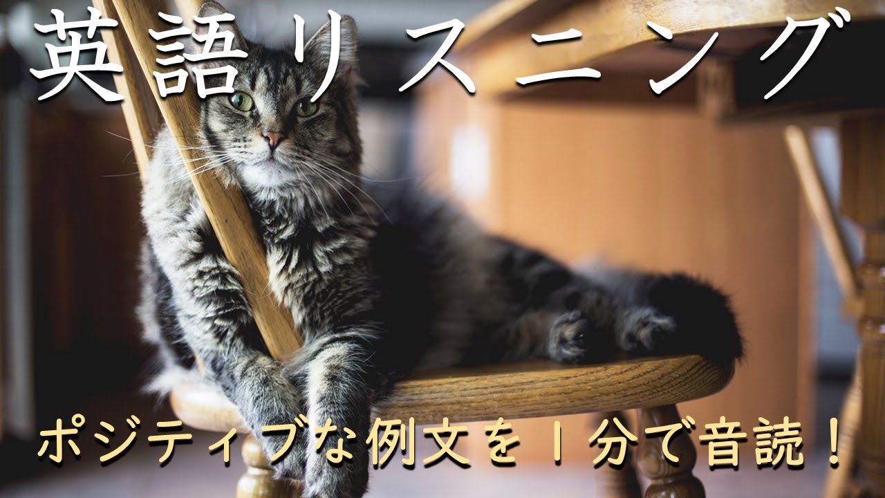 【ポジティブ例文１分だけ】超速英語リスニング_260222