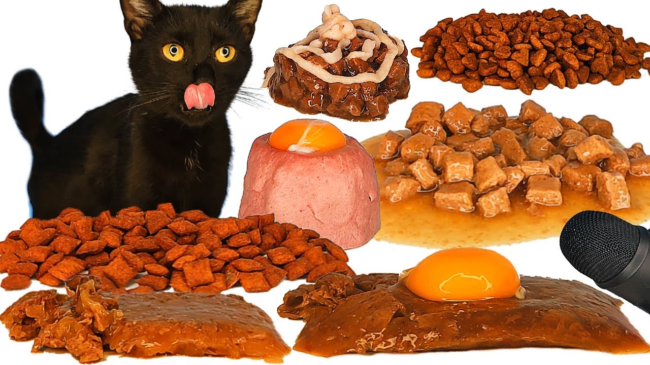 Cat ASMR Mukbang Eating Wet Food, Dry Food & Egg Yolk 