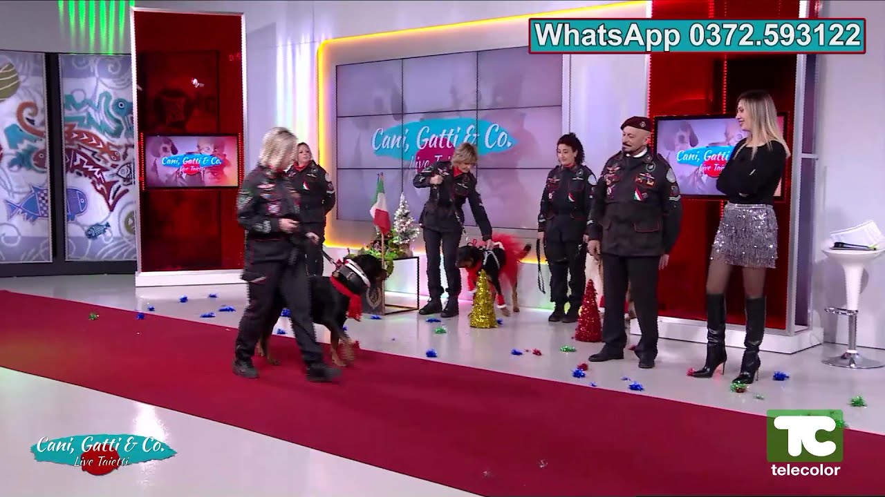Cani, Gatti & Compagnia con il comandante Aldo Taietti