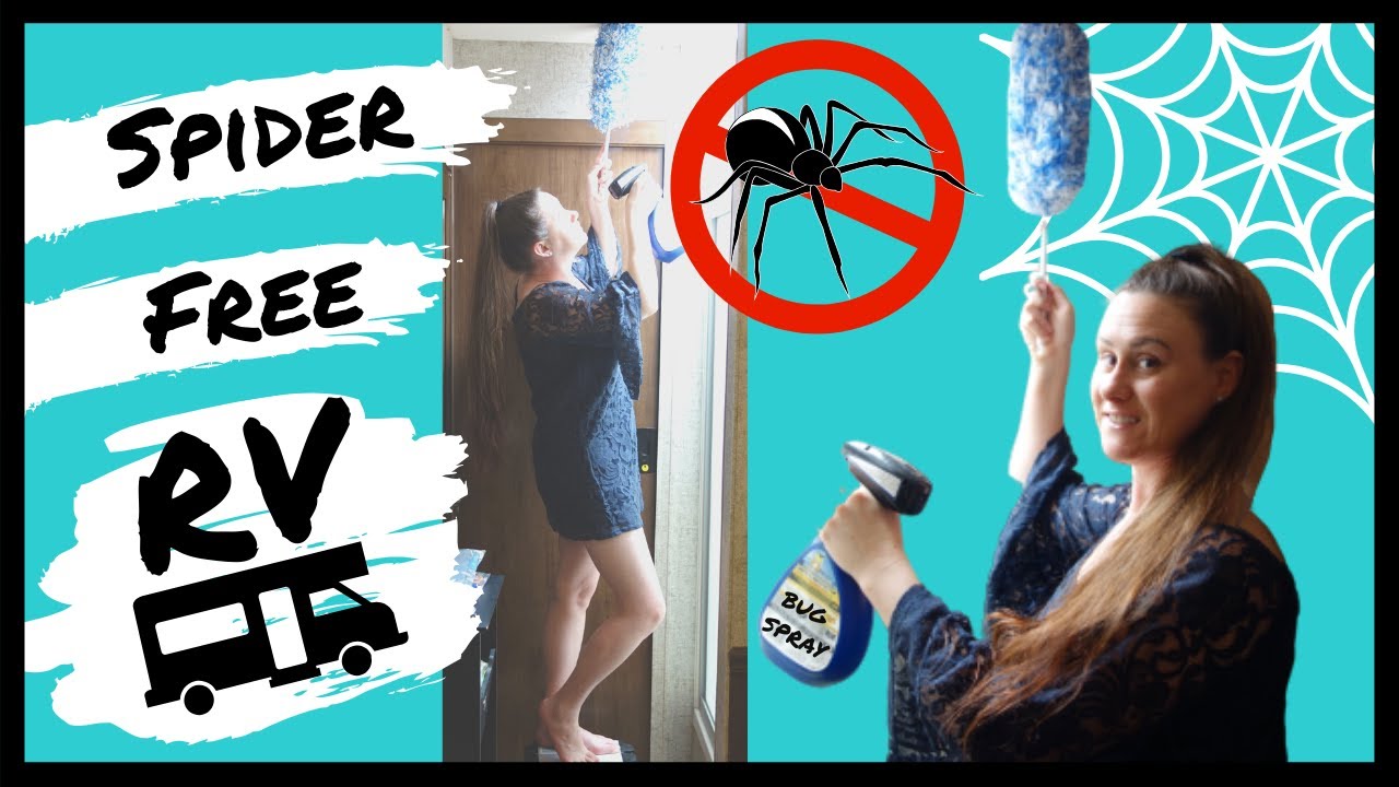 HOW TO KEEP SPIDERS OUT OF YOUR HOUSE, RV OR CAMPER