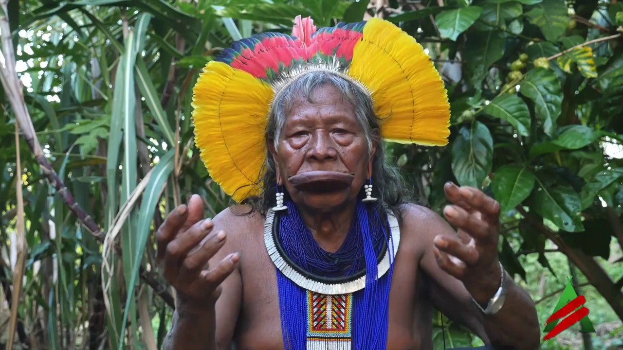 ALLIANCE DES GARDIENS - l'appel au rassemblement du Cacique RAONI METUKTIRE