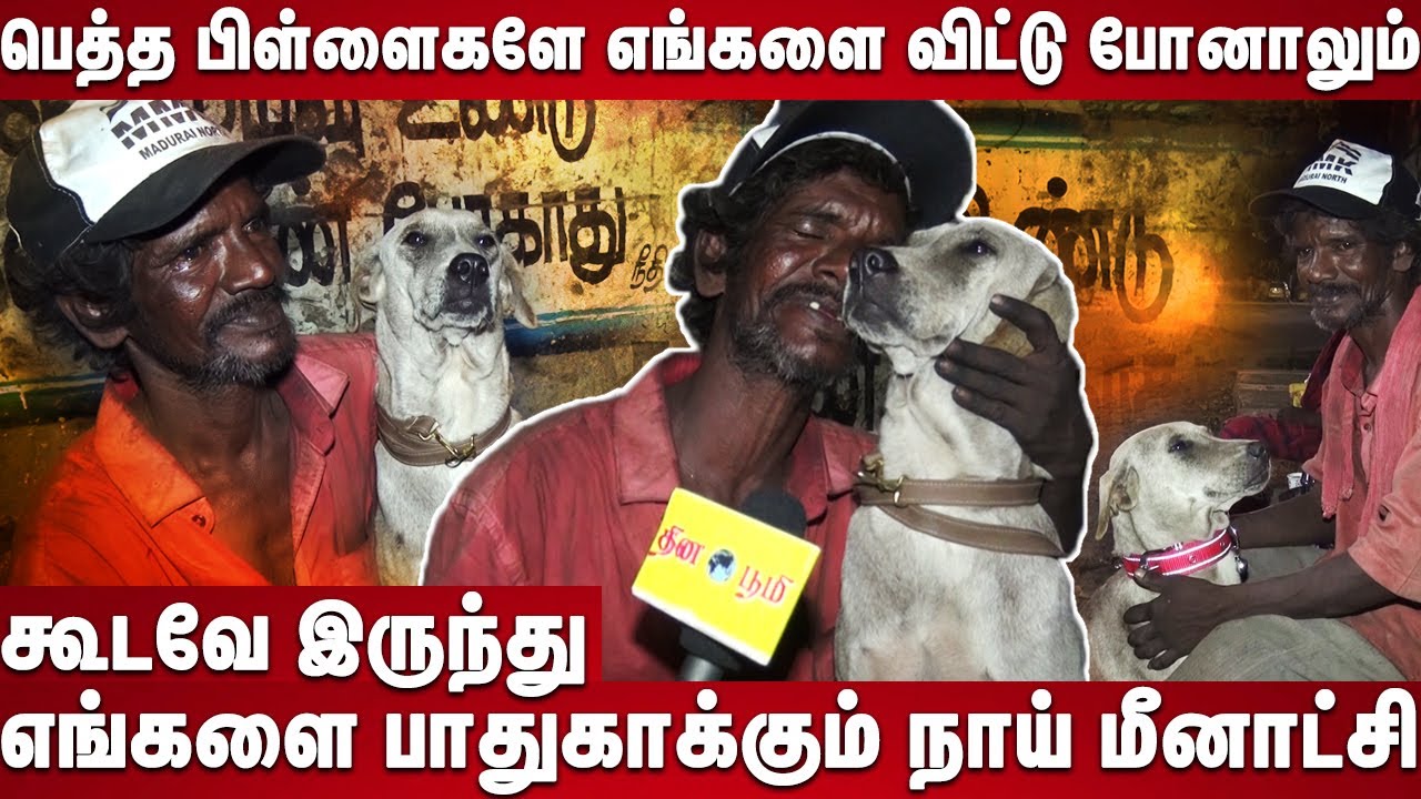 பெத்த பிள்ளைகளே எங்களை விட்டு போனாலும் கூடவே இருந்து எங்களை பாதுகாக்கும் நாய் மீனாட்சி | Street Dog