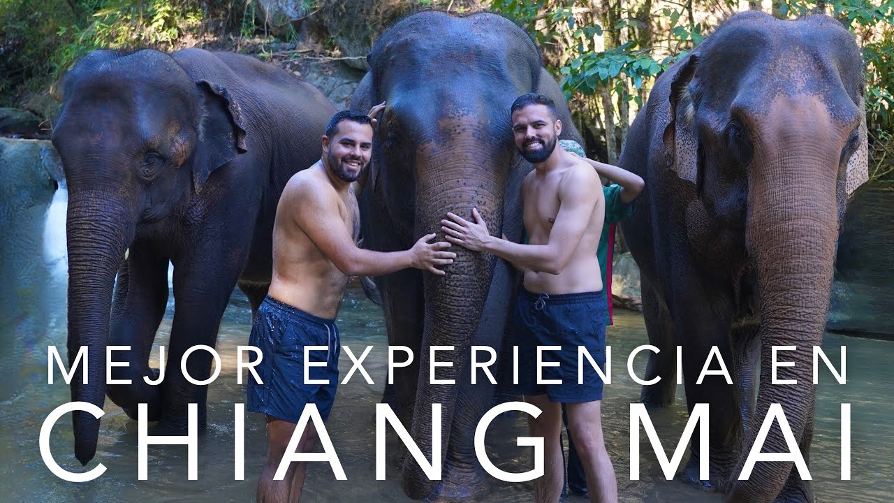 VISITAMOS UN SANTUARIO DE ELEFANTES EN CHIANG MAI! MEJOR EXPERIENCIA DE NUESTRAS VIDAS! 🐘🇹🇭