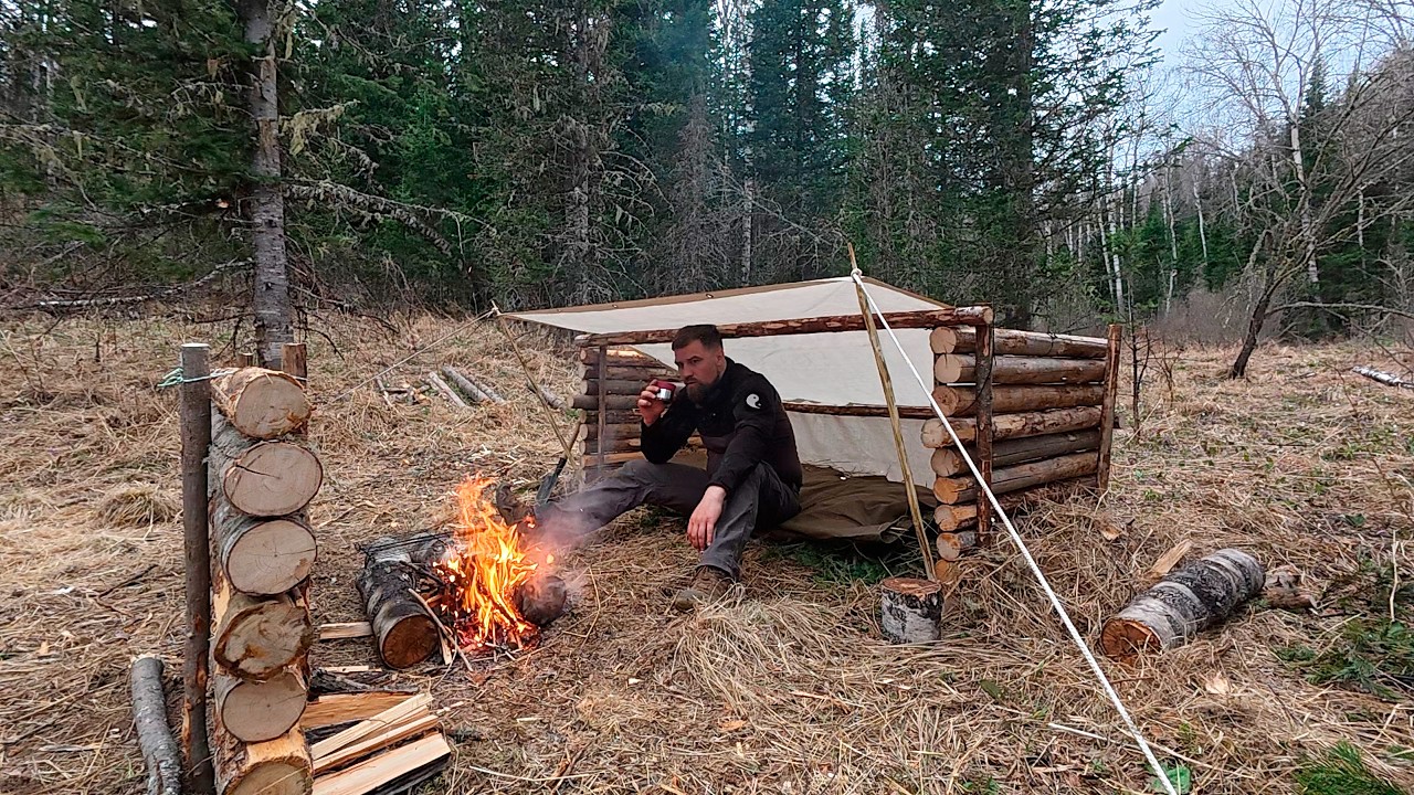 Disappear into the Wild Forest: My 5 Steps to Create a Comfortable Shelter for Survival