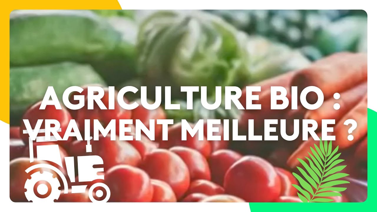 Agriculture bio : Vraiment meilleure ?