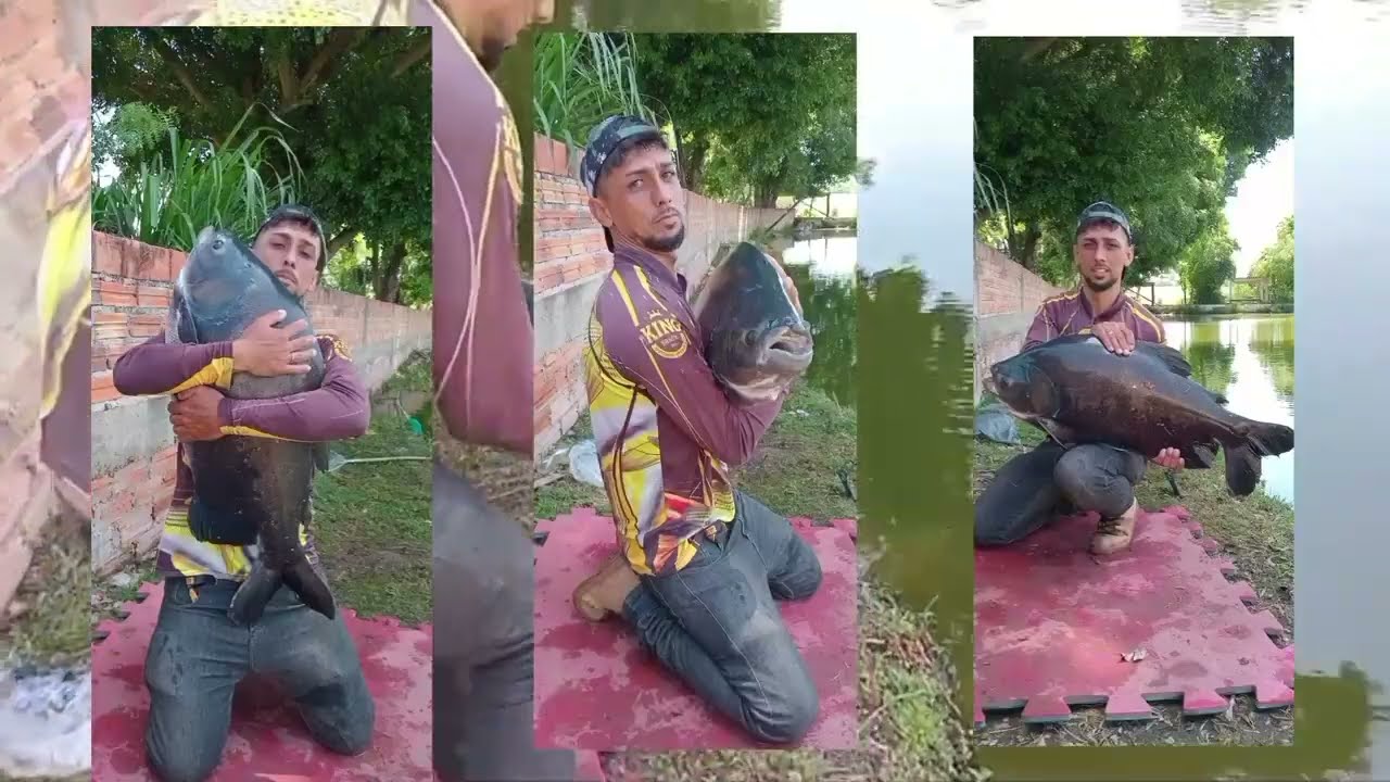 Esse peixe é muito esportivo !! Tambacu e sua força!