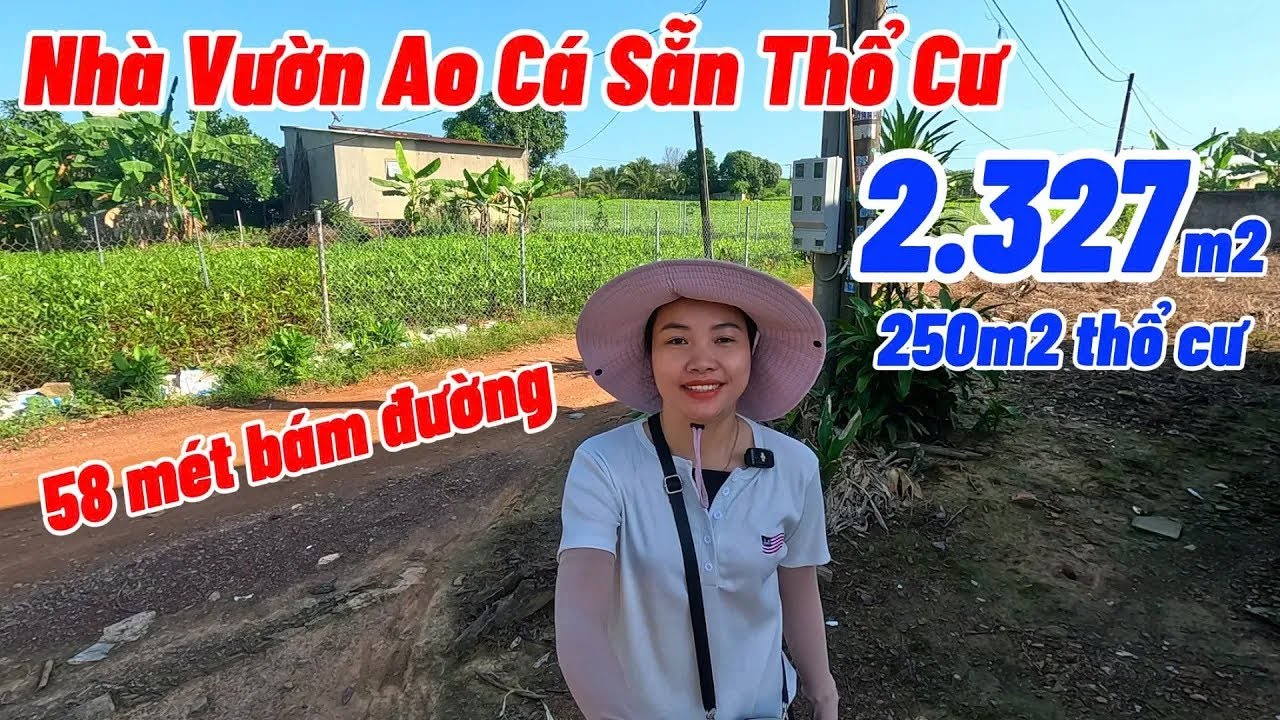Nhà Vườn Ao Cá Sẵn Thổ Cư Không Khí Trong Lành Mát Mẻ | NHÀ ĐẤT ĐỒNG NAI GIÁ RẺ