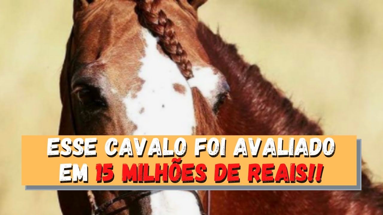 O Campeão dos Campeões - Galante do Expoente