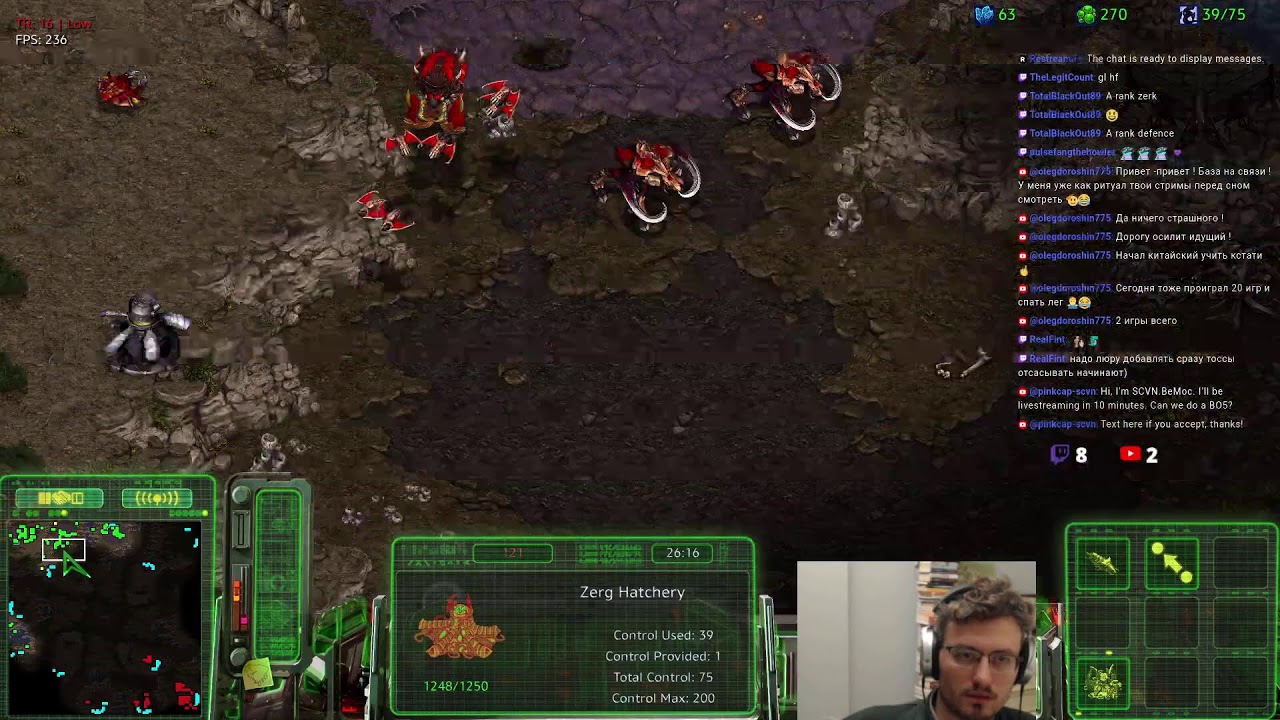 Back on the Zerg ladder grind