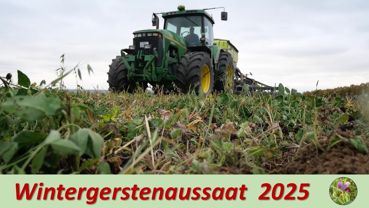 Gerstensaat 2025