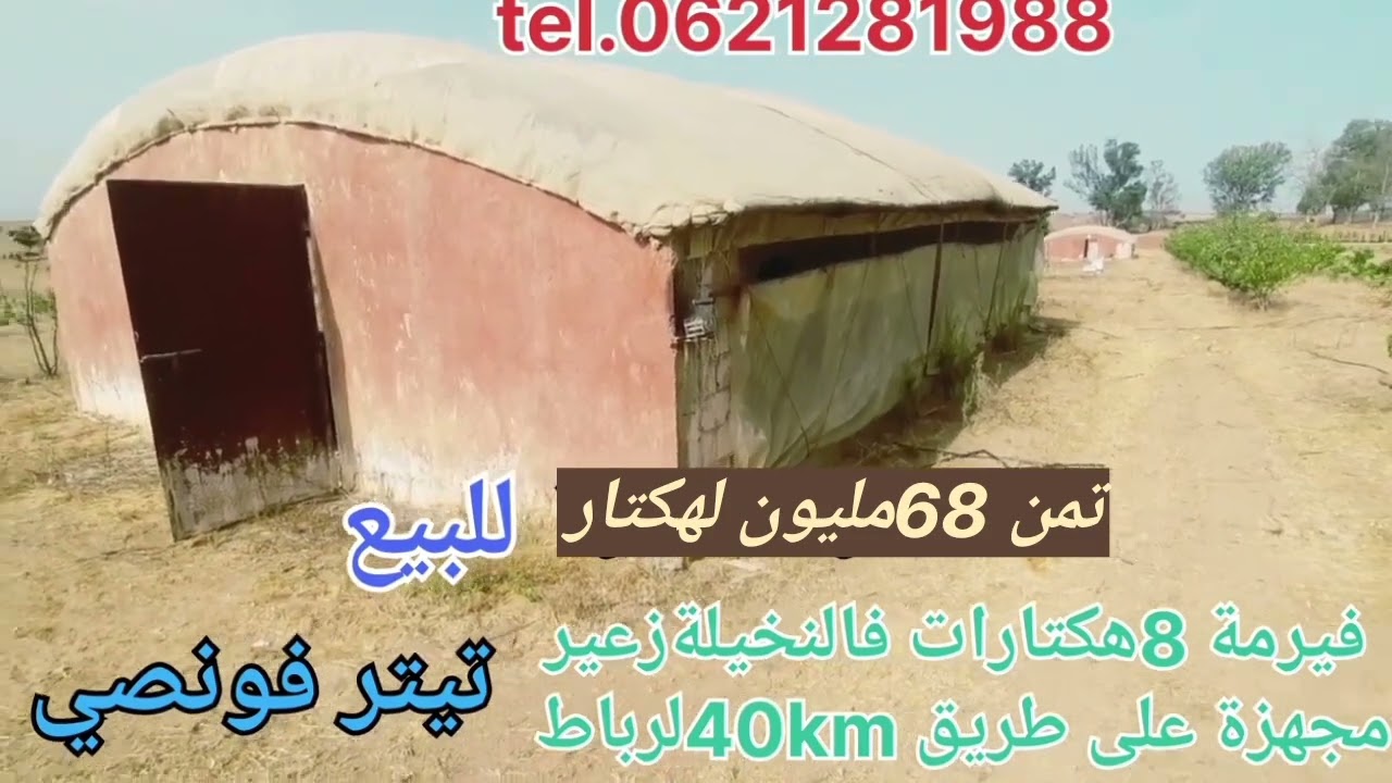 فيرمة 8 هكتارات على طريق فالنخيلة زعير☎️0621281988