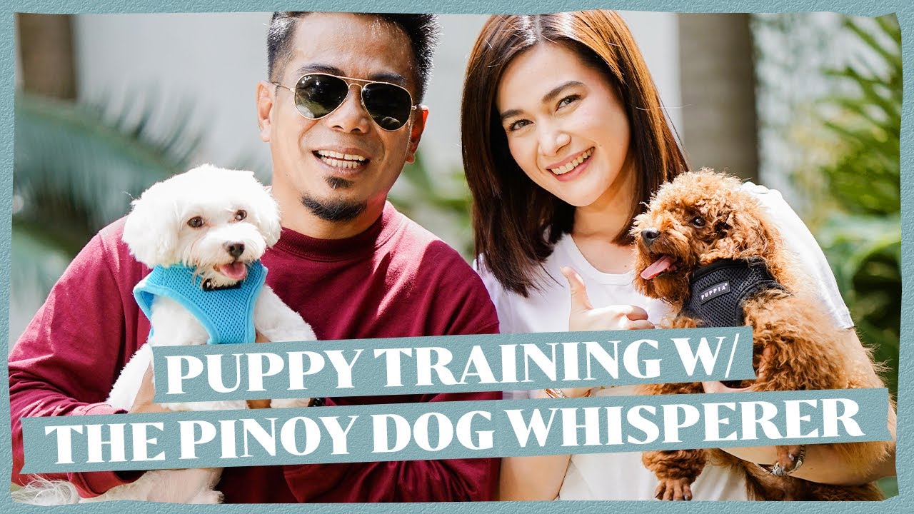 MEET MY FUR BABIES + Puppy Training with the @LestreZapanta | Bea Alonzo
