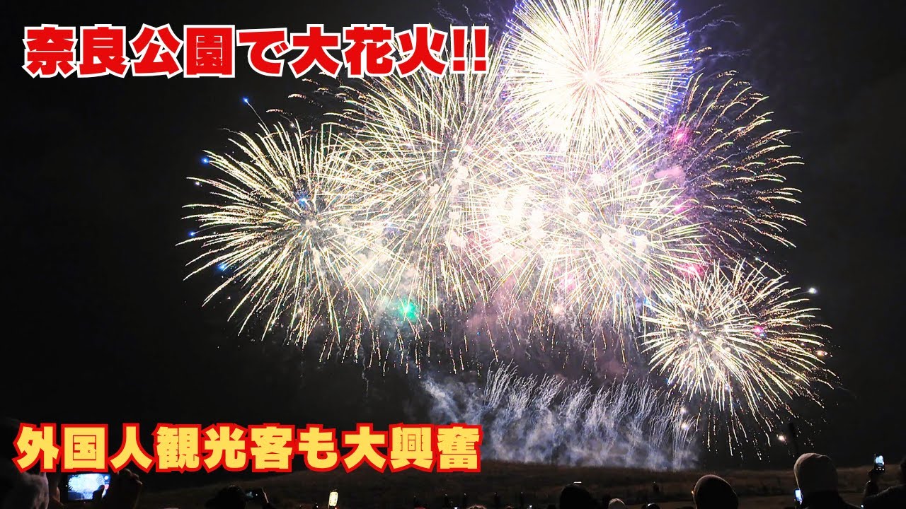 奈良公園で大花火があがる! 年に一度のレアな光景に鹿も外国人観光客も大興奮