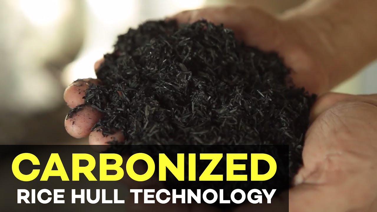 Carbonized Rice Hull Technology: The Many Uses of Carbonized Rice Hull in Agriculture