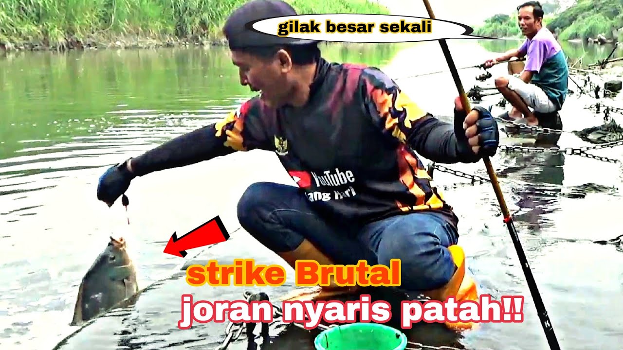 Strike Super Brutal !!Joran Pemancing di Hajar Ikan Nila Babon Nyaris Patah!