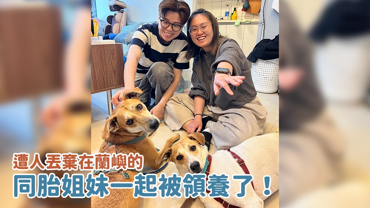 遭人丟棄在蘭嶼的姐妹一起被領養了！