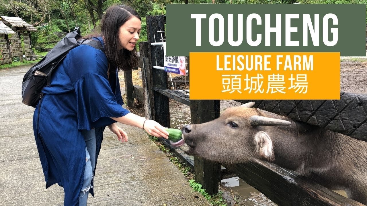 A day on Taiwan&rsquo;s Toucheng Leisure Farm 頭城農場