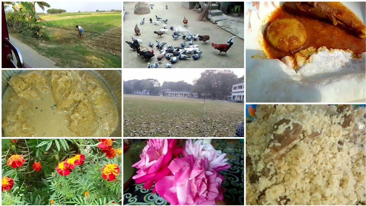 তীব্র শীতে বাবার বাড়িতে কিভাবে কাটালাম/আপনজনদের সাথে কাটানো কিছু সুন্দর মুহূর্ত/