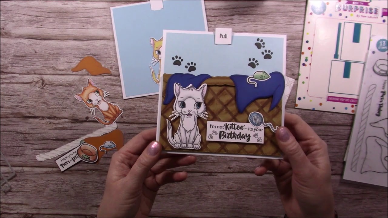DIY Pop-Ups Cute Kitten Card By Sam Calcott from  Made To Surprise
