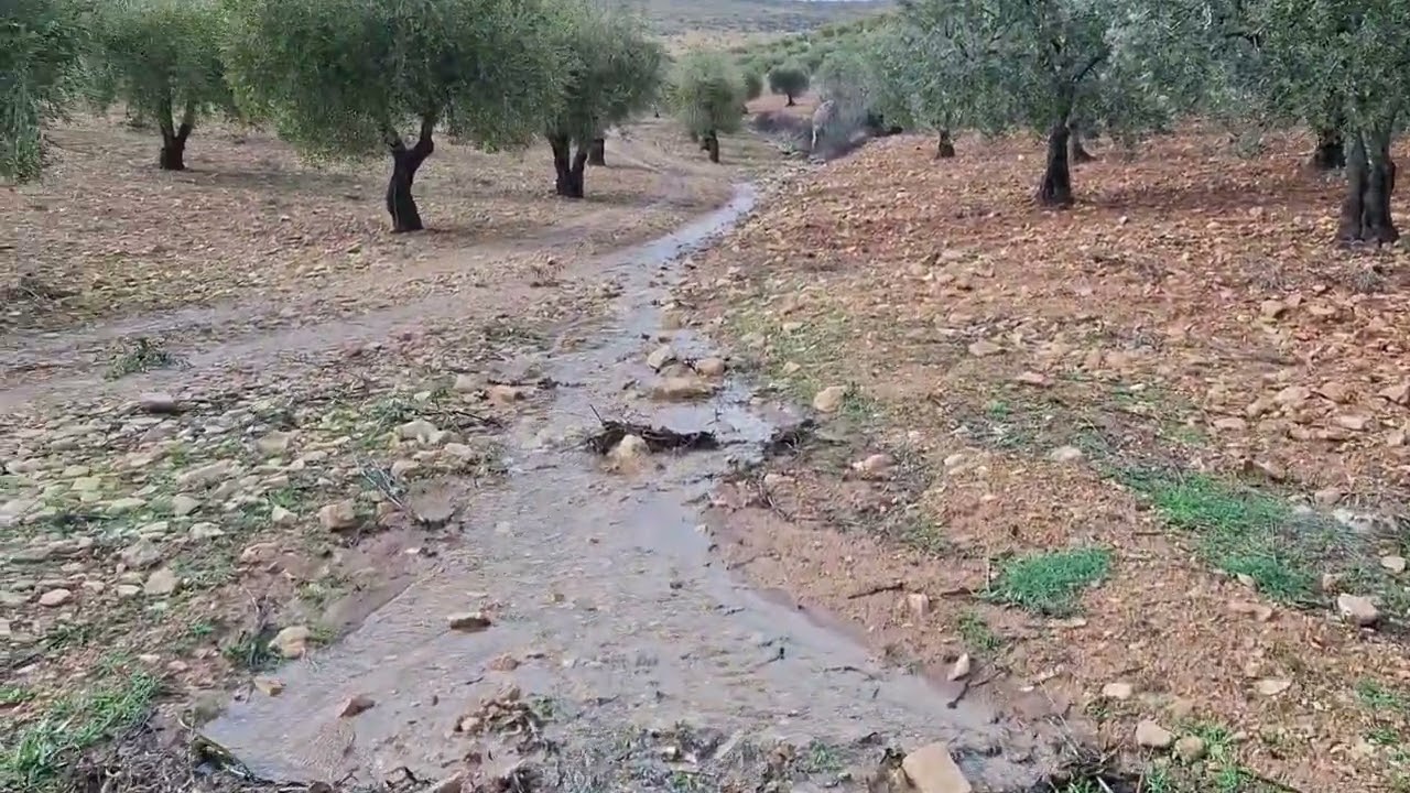 Pîştî salên kêm baran, ji nûh de gelî û newalên Çiyayê Kurmênc