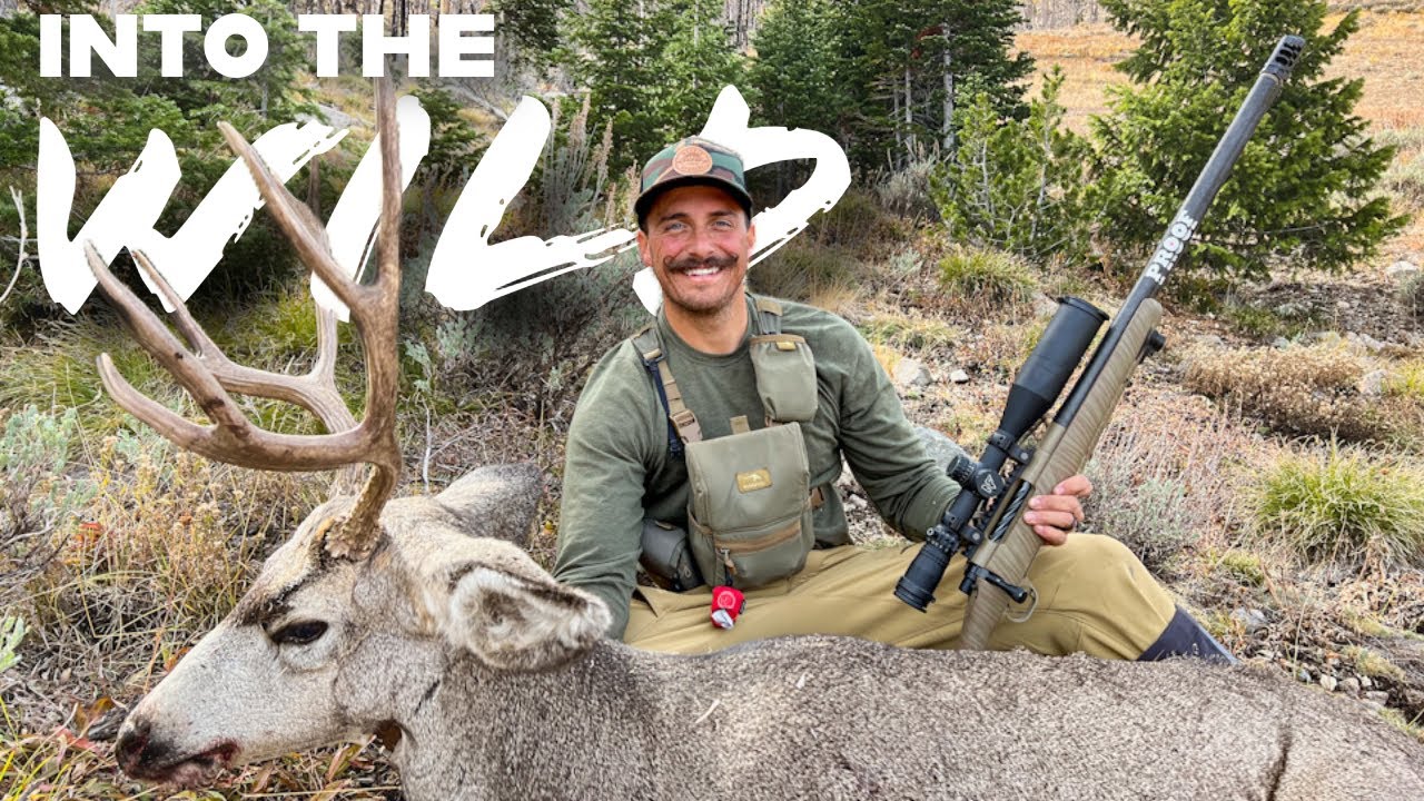 Mule Deer and Elk Backcountry Hunt-