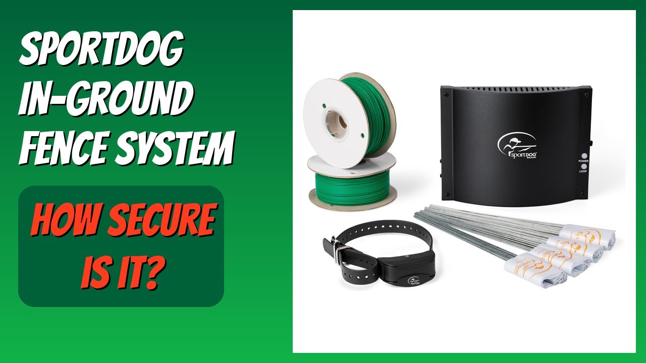 REVIEW (2025): SportDOG In-Ground Fence System. Features