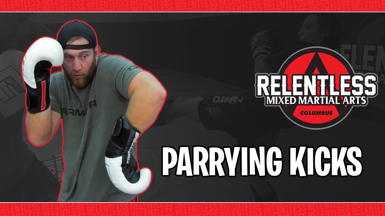 (HOW TO) PARRY KICKS in FIGHTING