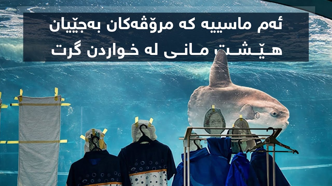 ئەو ماسییەی بەبێ مــرۆڤ تووشی 