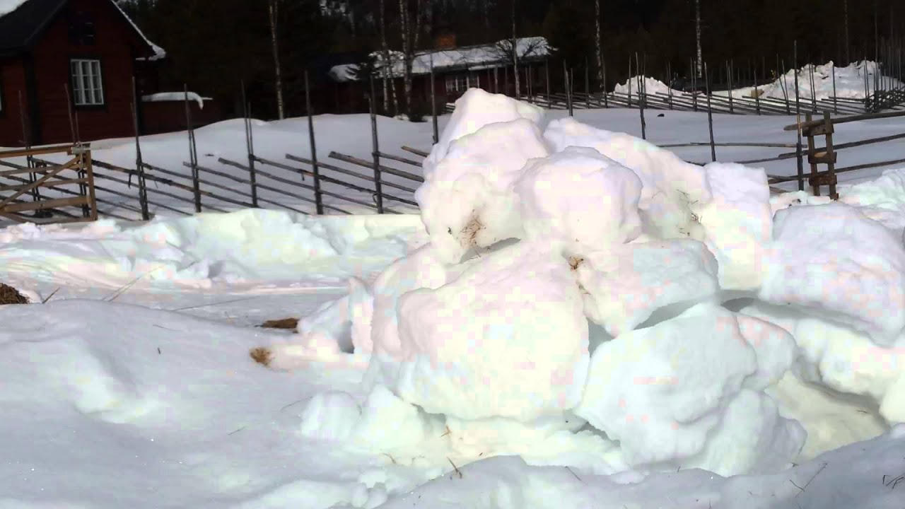 Tuvas sn&ouml;koja
