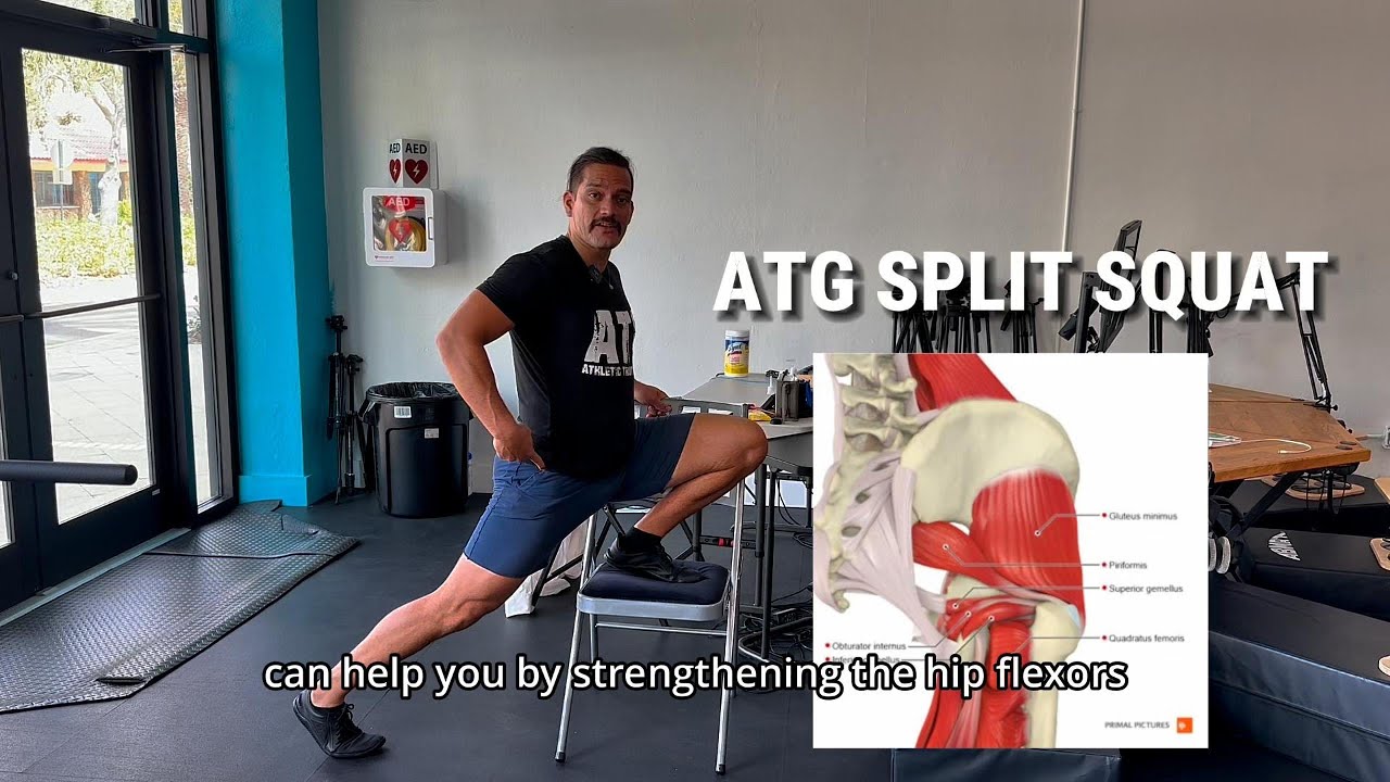 ATG Split Squat Form & Regressions