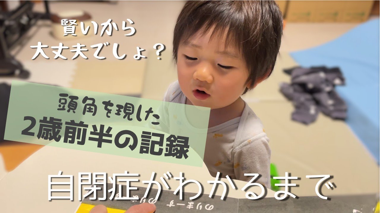 【自閉症がわかるまで】賢いと思っていたのは凸凹の現れだった2歳の記録【前半】
