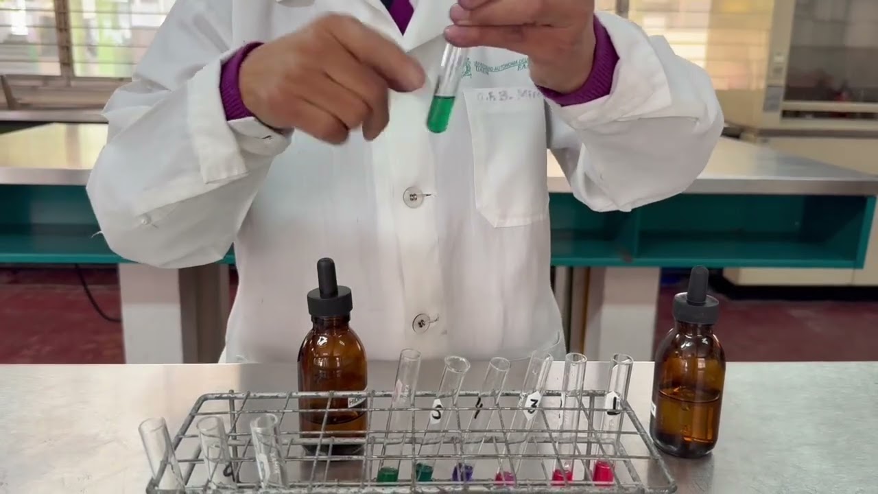 Química 2. Práctica No. 4  