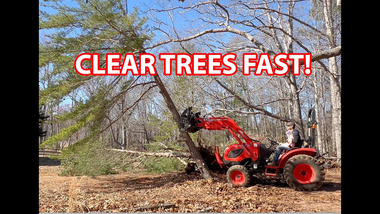 Tree Removal for Chicken Coop Site Prep