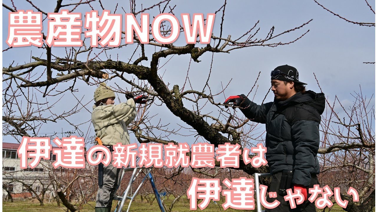 農産物NOW 新規就農者編