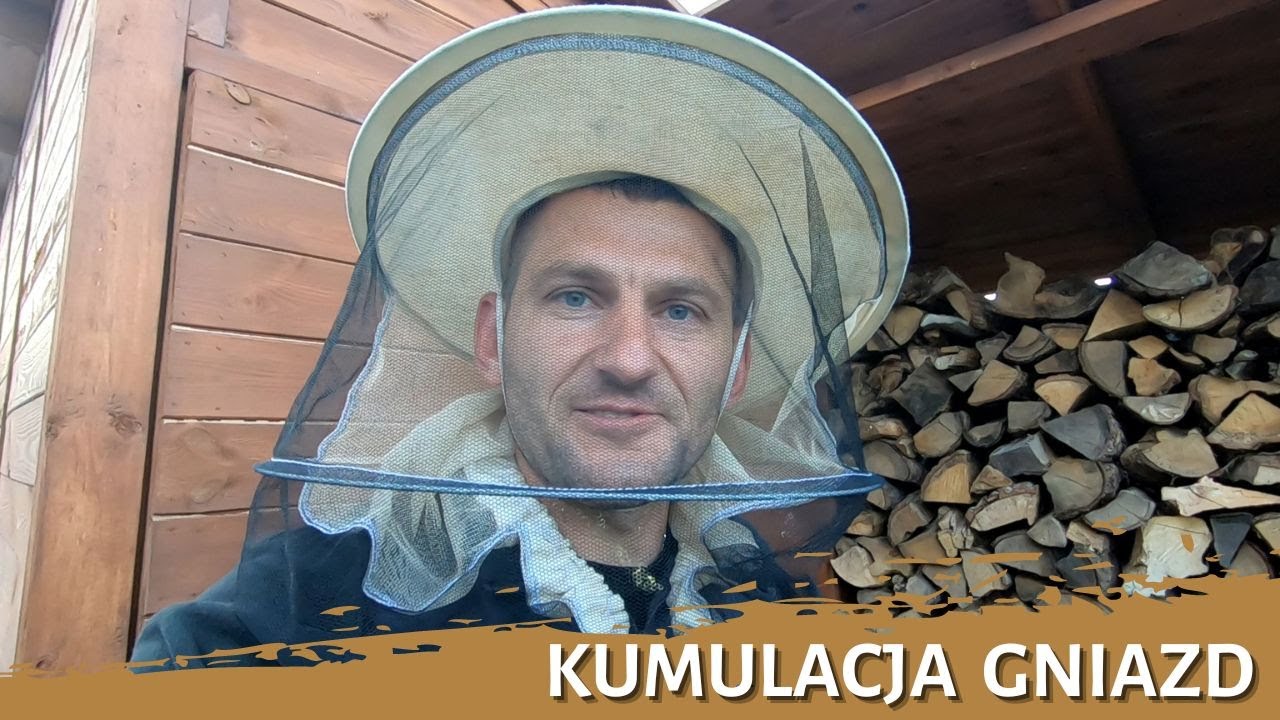 Kumulacja gniazd - usuwanie gniazda os - całkowita likwidacja gniazda -gniazdo os - szerszenie