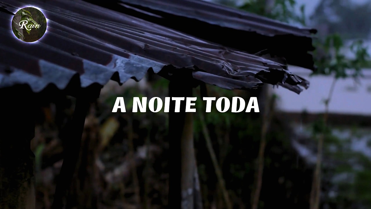 🌧 Floresta de Bambu e Chuva: Som do Vento e Madeira Oca (Zen) 80