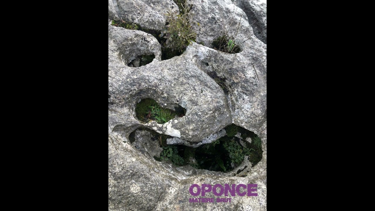 OPONCE Matière brute