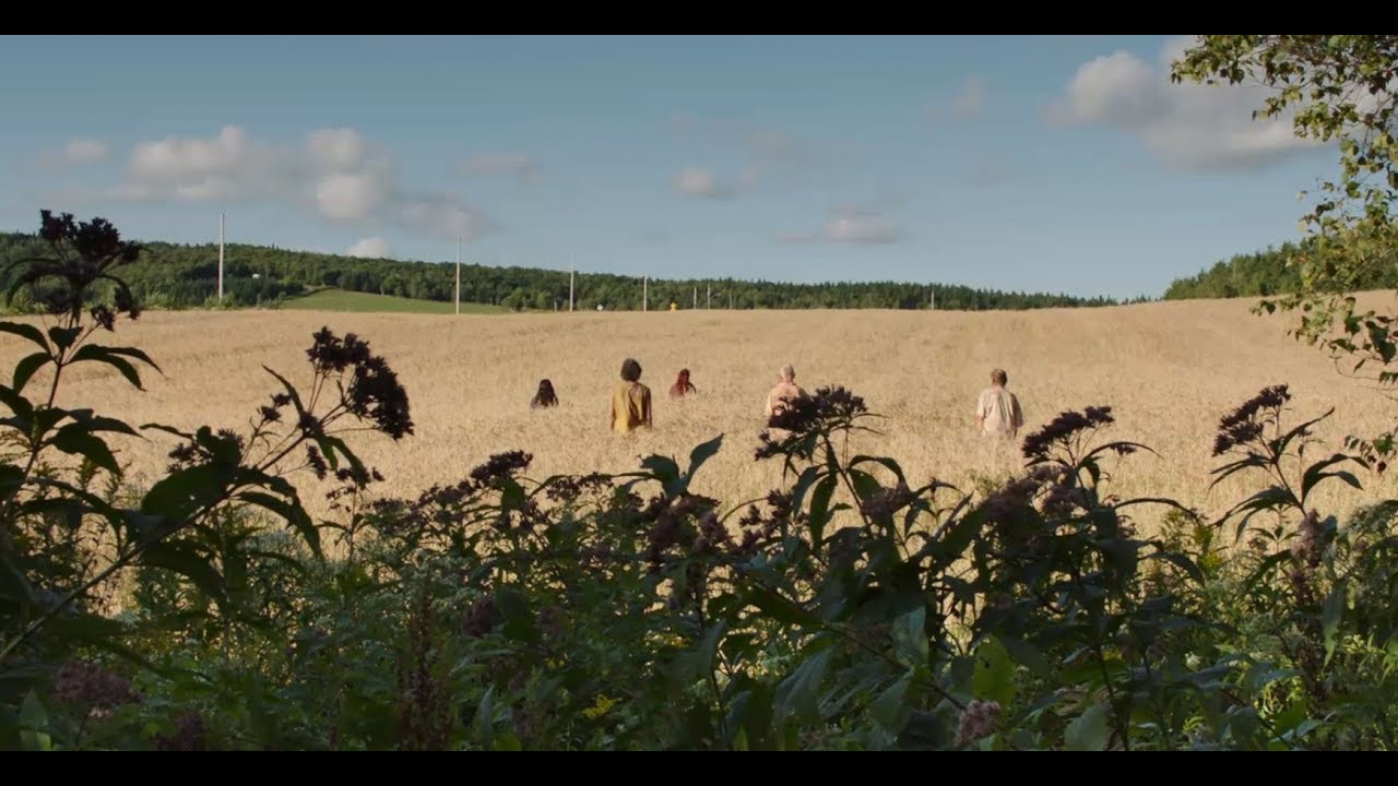 Pleins feux sur Les Affamés