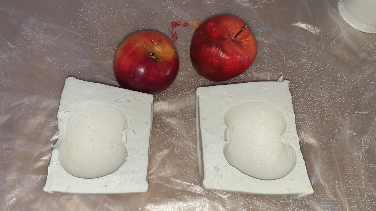 Moulage à l'alginate