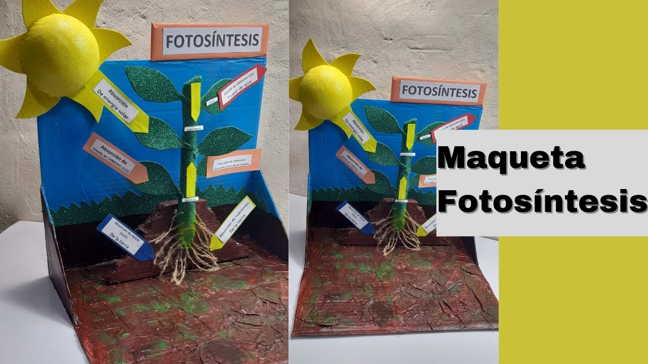 Diy Maqueta de La fotosíntesis con reciclaje ♻🤩MVRC♻