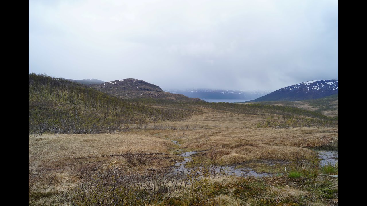 Nettforedrag: Rávdnjemuotki/Finnheia - kulturminner og livshistorier