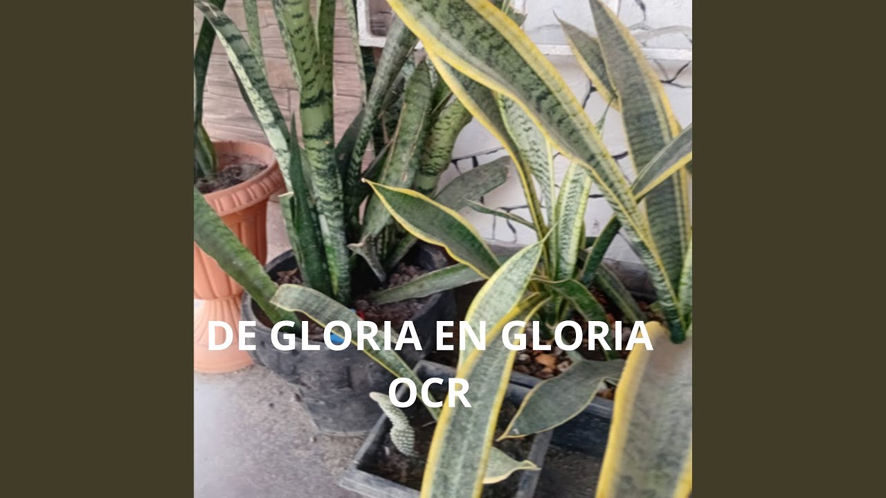 Teu Fogo Sagrado Está Me Restaurando